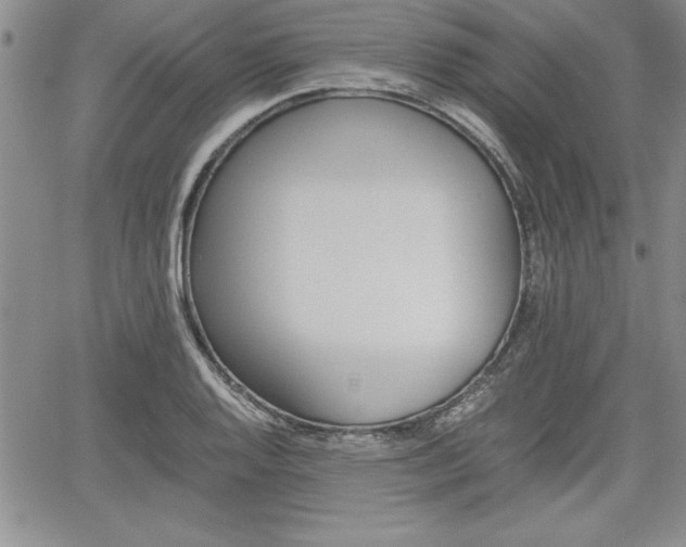 X0000062171128200512091044