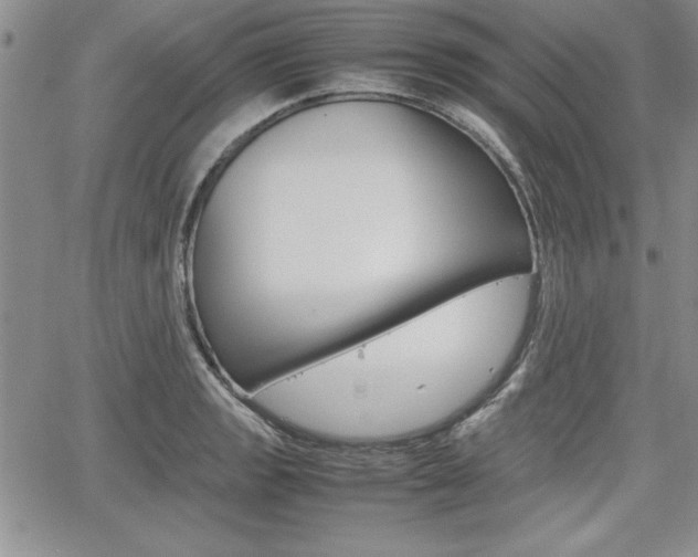 X0000062171133200512091044