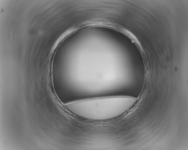 X0000062171146200512091044