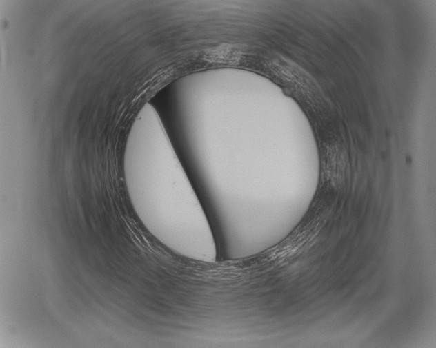 X0000062171154200512091044