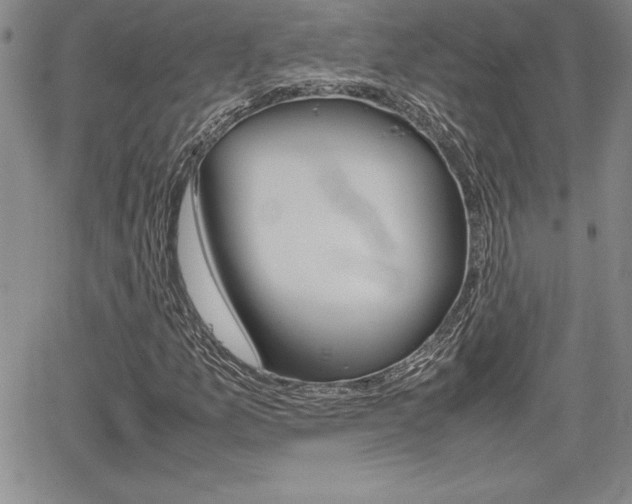 X0000062171157200512091044