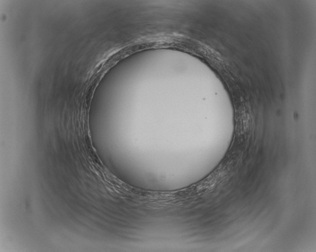 X0000062171158200512091044