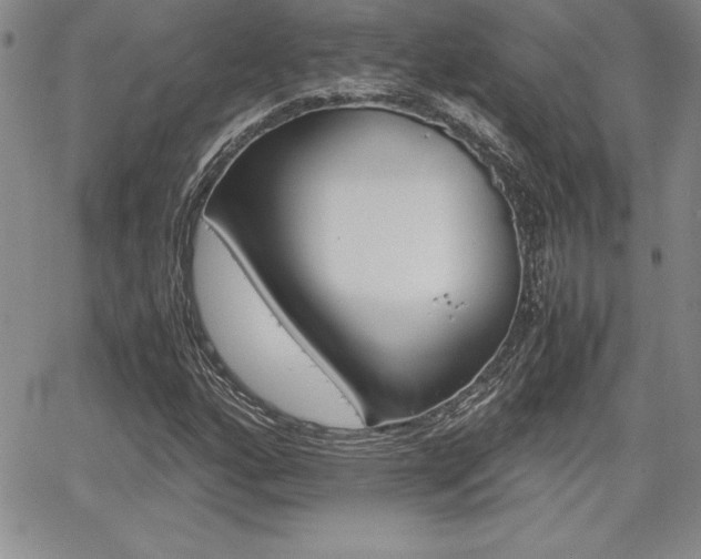 X0000062171160200512091044
