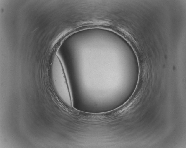 X0000062171163200512091044