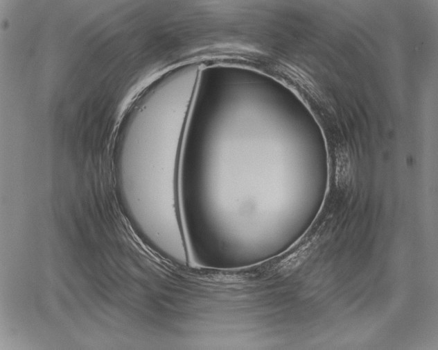 X0000062171164200512091044