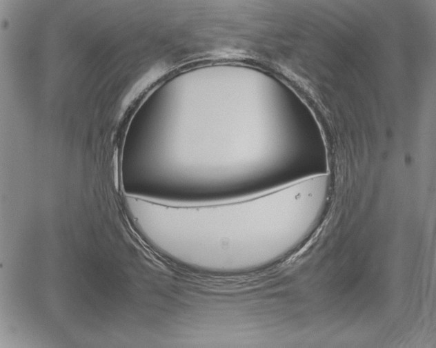 X0000062171171200512091043