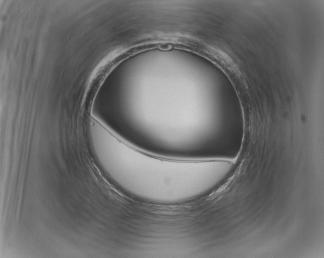 X0000062171172200512091043