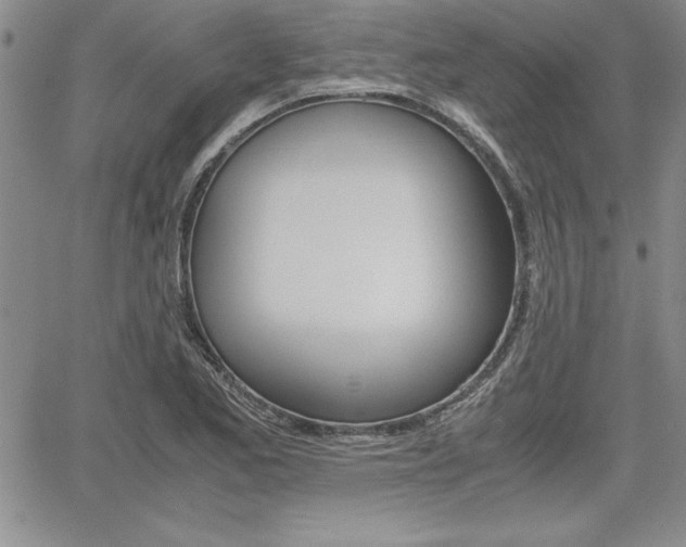 X0000062171173200512091043