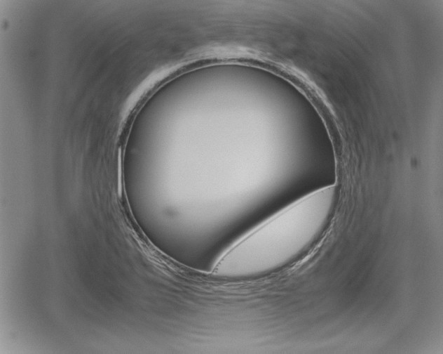 X0000062171175200512091043