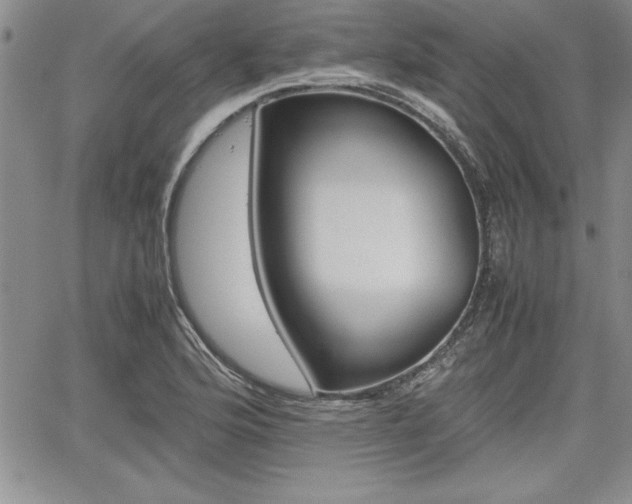 X0000062171176200512091043