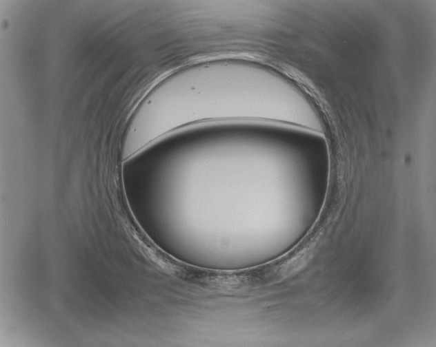 X0000062171177200512091043