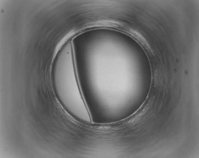 X0000062171180200512091043
