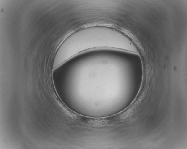 X0000062171185200512091043