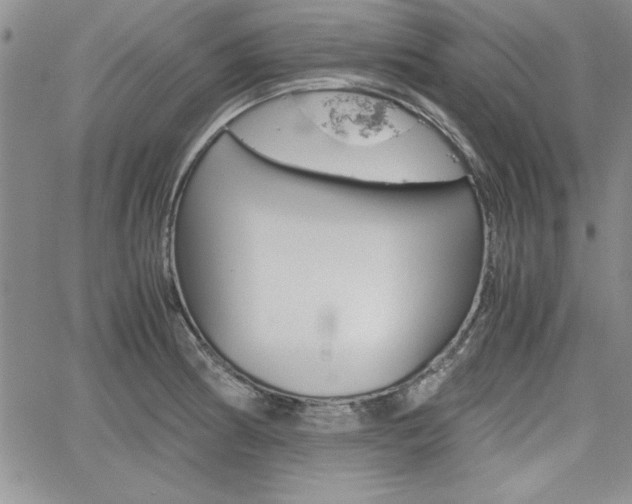 X0000062171186200512091043