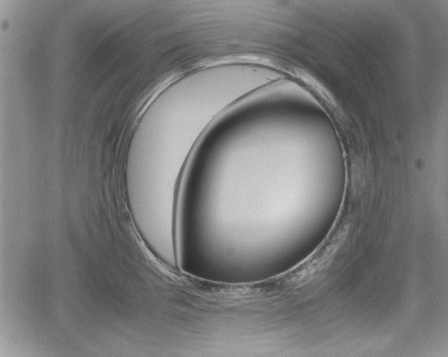 X0000062171193200512091043