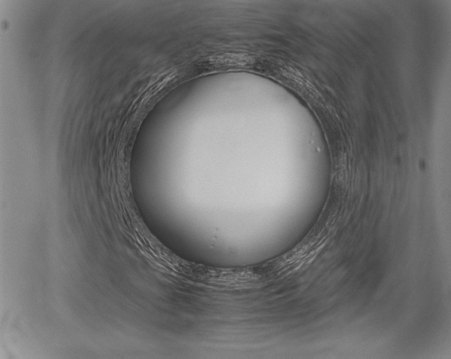 X0000062171201200512091042