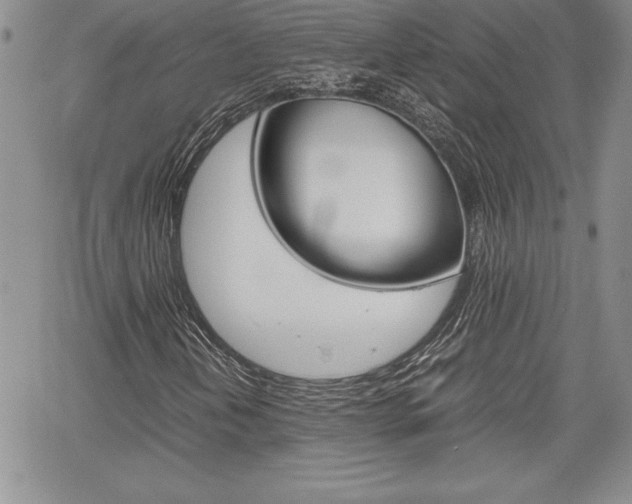 X0000062171202200512091042