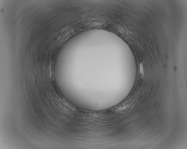 X0000062171203200512091042