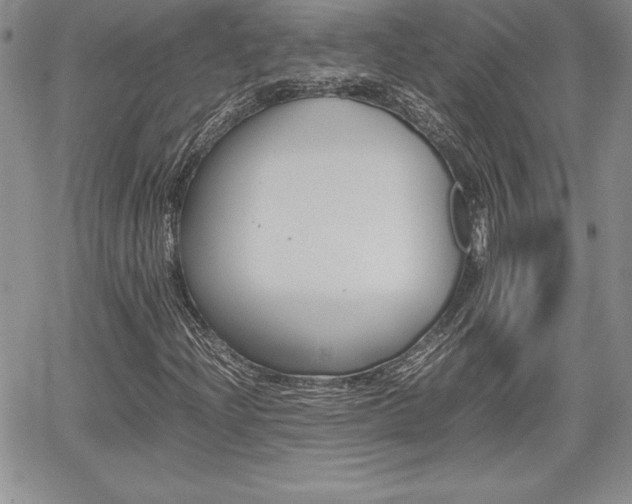 X0000062171204200512091042