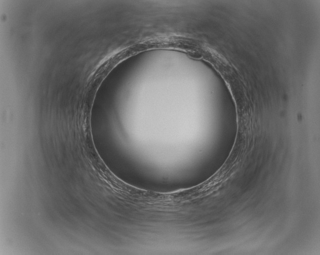 X0000062171206200512091042