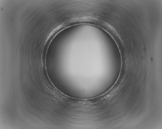 X0000062171218200512091042