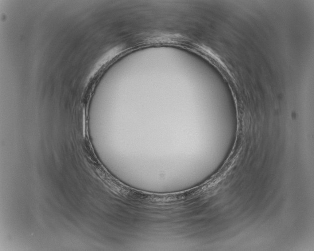 X0000062171219200512091042
