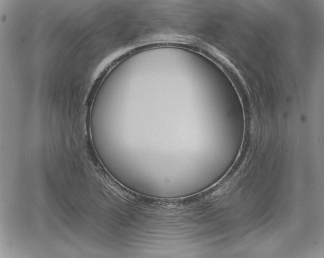 X0000062171222200512091042