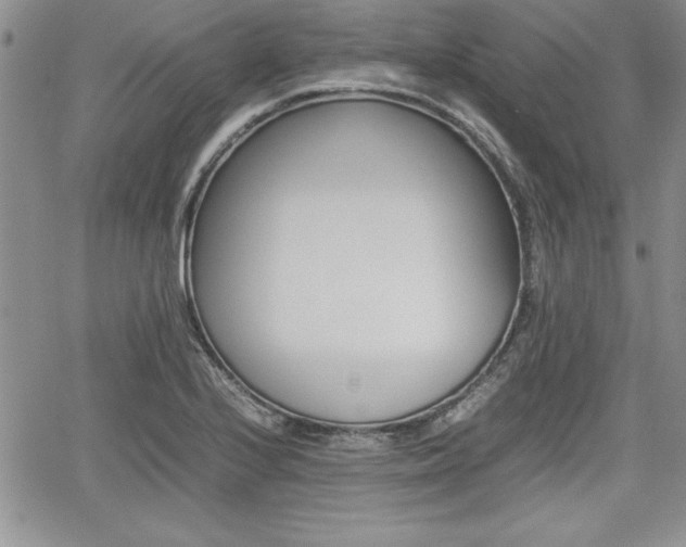 X0000062171224200512091043