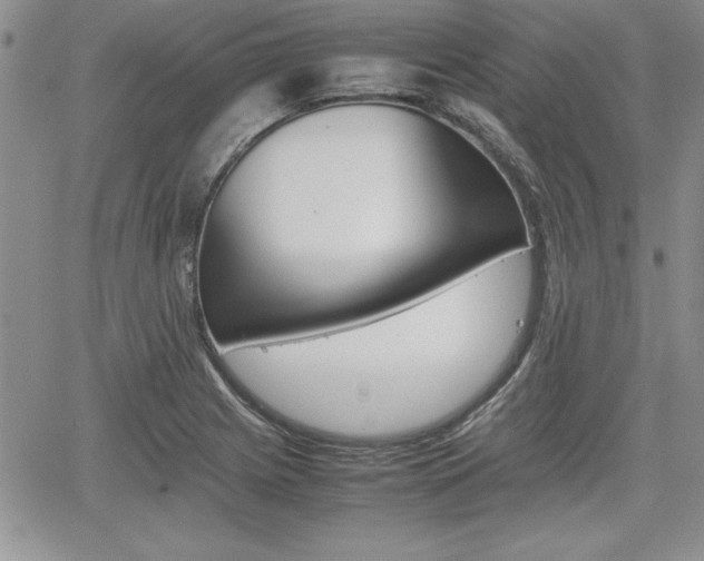 X0000062171225200512091043