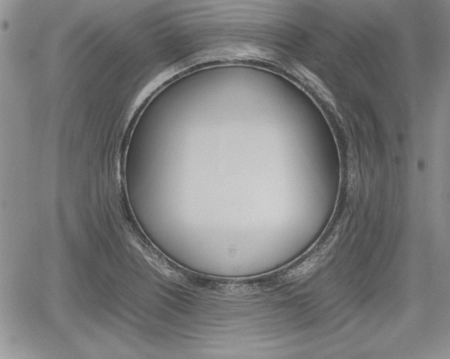 X0000062171226200512091043
