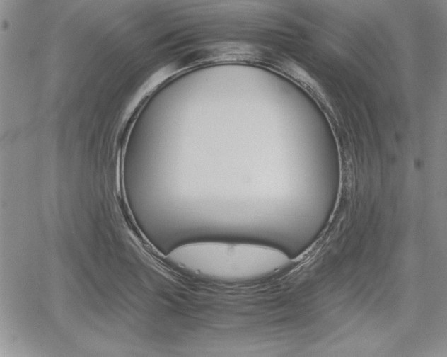 X0000062171227200512091043