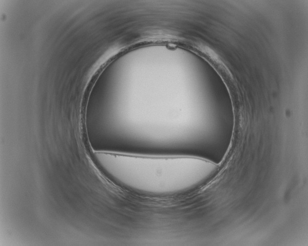 X0000062171229200512091043