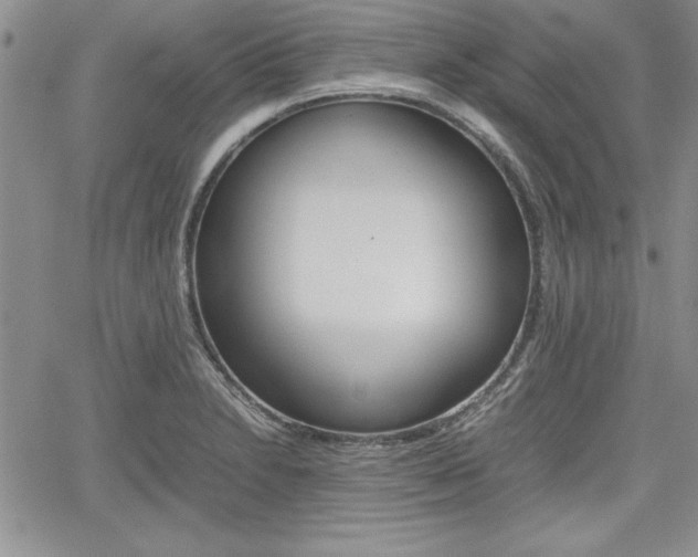 X0000062171230200512091043