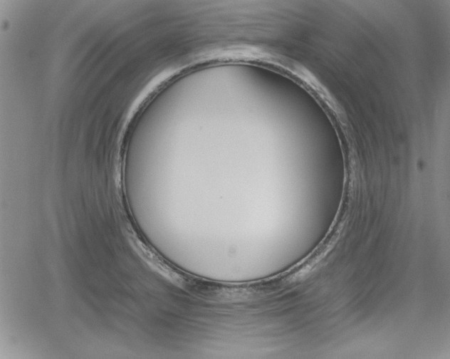 X0000062171232200512091043