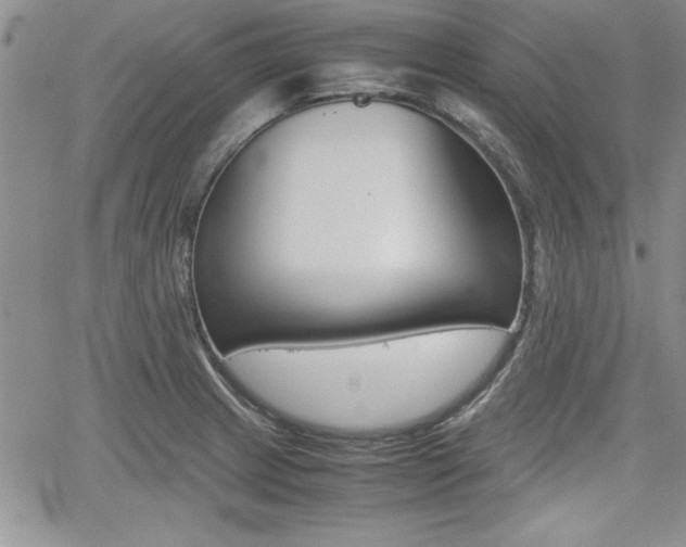 X0000062171233200512091043