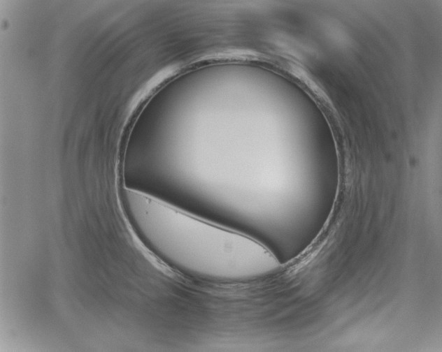 X0000062171237200512091043