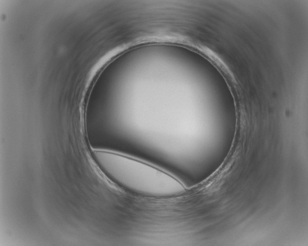X0000062171238200512091043
