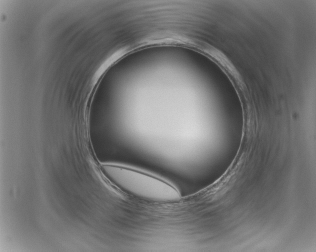 X0000062171242200512091043
