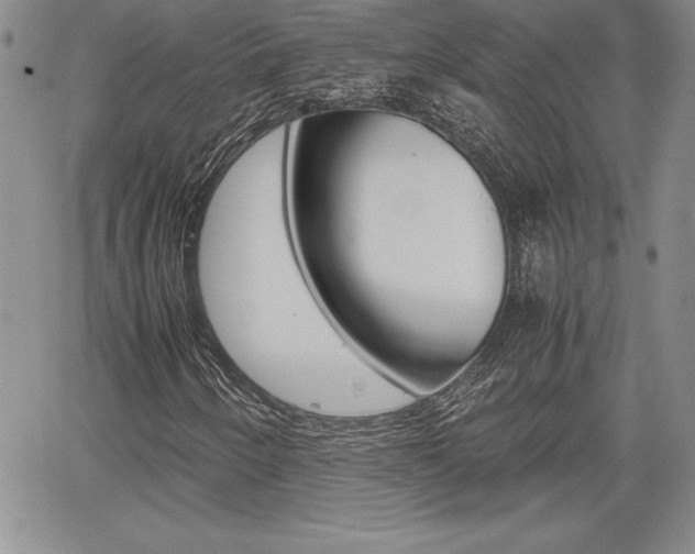 X0000062171250200512091042