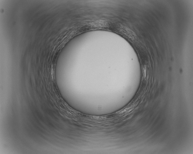 X0000062171251200512091042