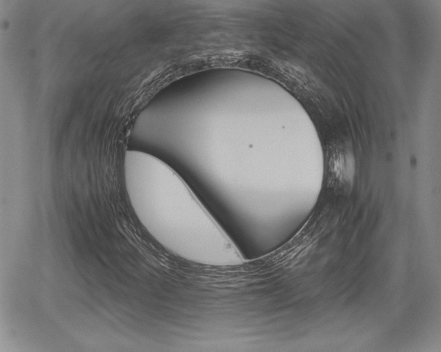 X0000062171252200512091042
