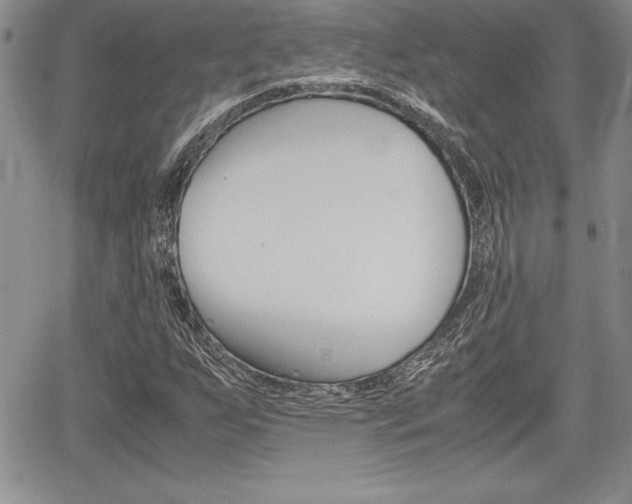X0000062171255200512091042