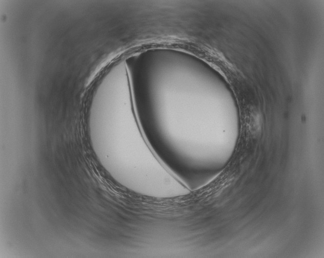 X0000062171256200512091042