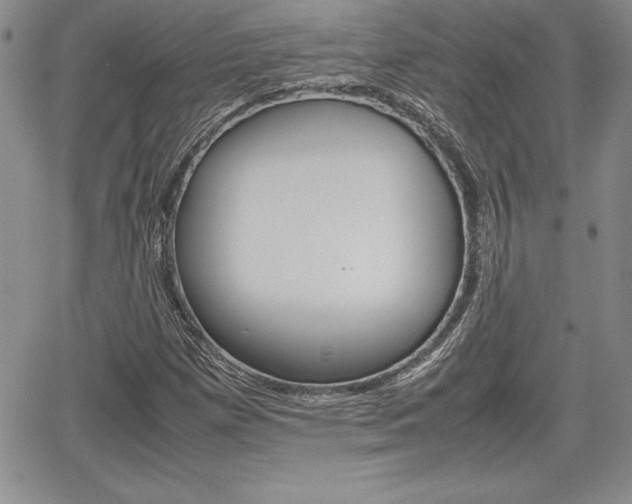 X0000062171257200512091042