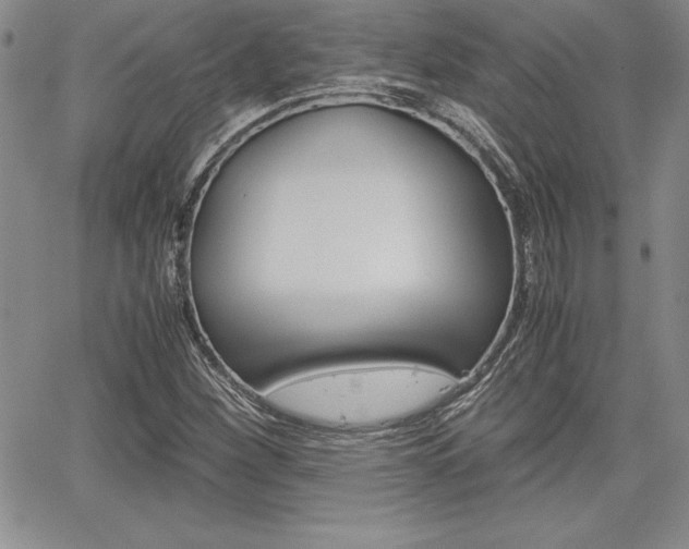 X0000062171260200512091042