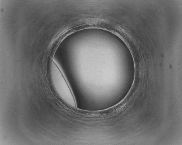 X0000062171261200512091042