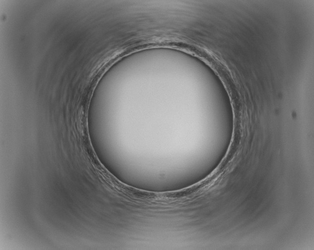 X0000062171265200512091042