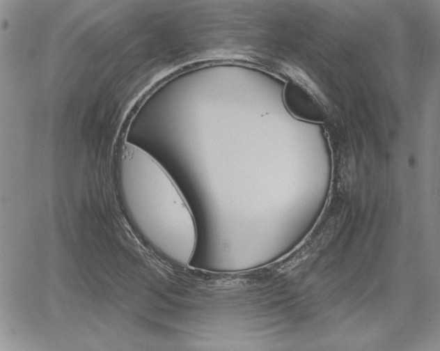 X0000062171268200512091042