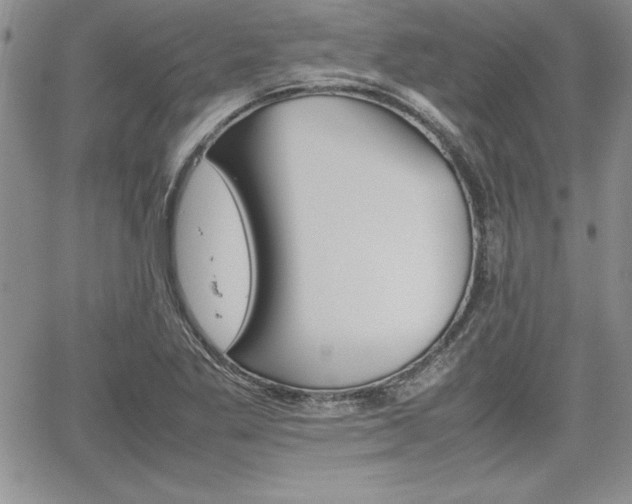 X0000062171269200512091042