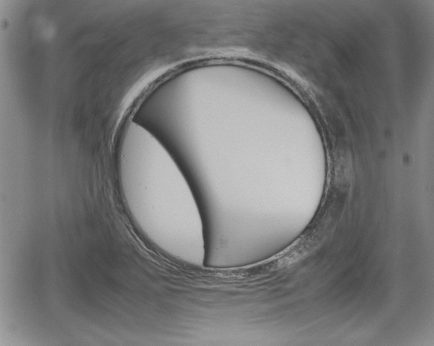 X0000062171271200512091042
